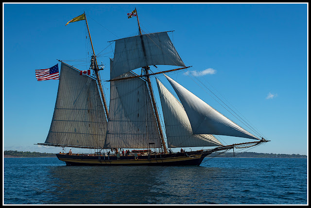 Tall Ships; Lunenburg; Nova Scotia; Sailing; Pride of Baltimore II