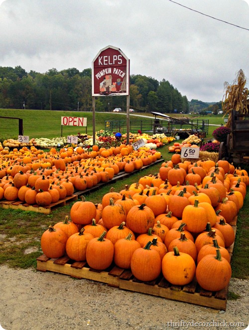 nashville pumpkin patch