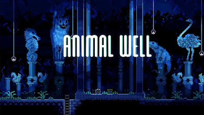 How to play Animal Well with a VPN