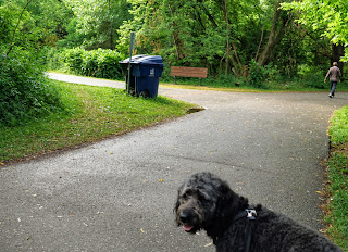 Fork in trail in the East Don River Park