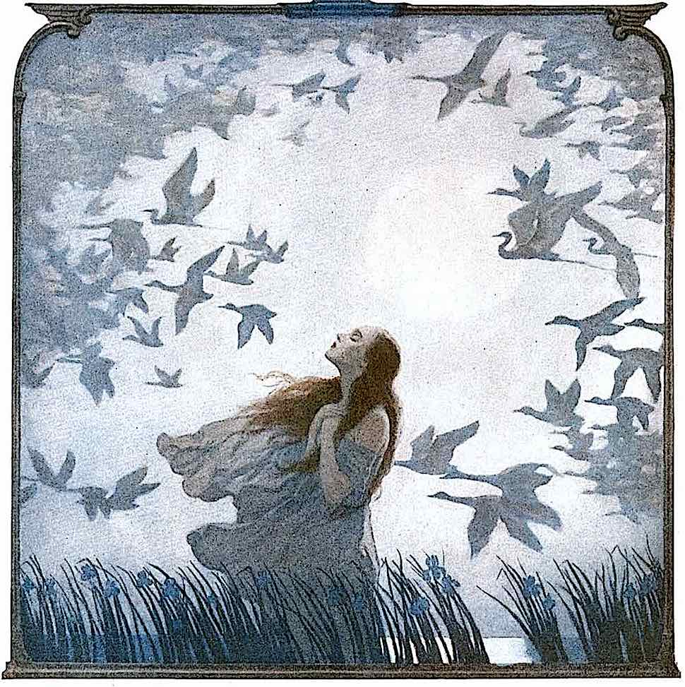 an N.C. Wyeth illustration of a woman in marsh wetlands with birds flying past