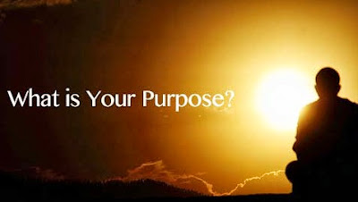 What is Your Purpose?