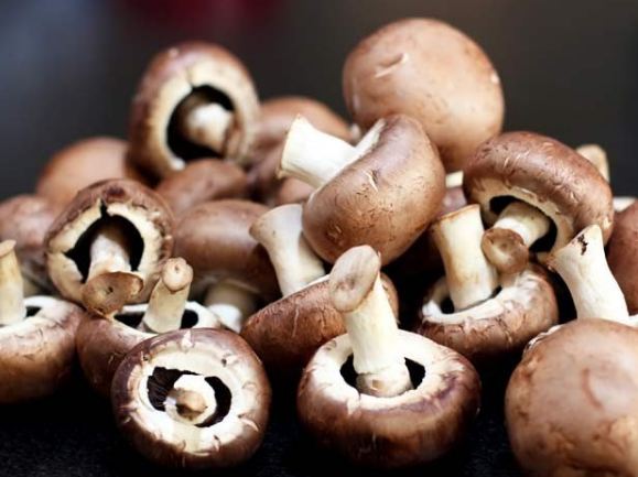 Eat Mushrooms and Get Rid of Cancer
