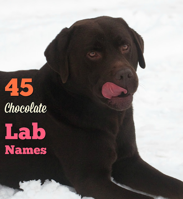 Female lab names