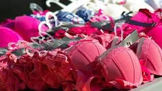 What is lingerie? Describe different types of lingerie.