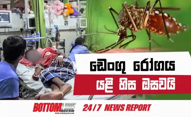 ඩෙංගු රෝගය යළි  හිස එසවීමේ අවදානමක් පවතින බව ජාතික ඩෙංගු මර්දන ඒකකය පෙන්වා දෙනවා