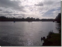 IMG-20131010-01505
