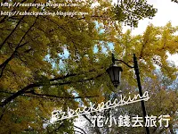 京都紅葉情報預測