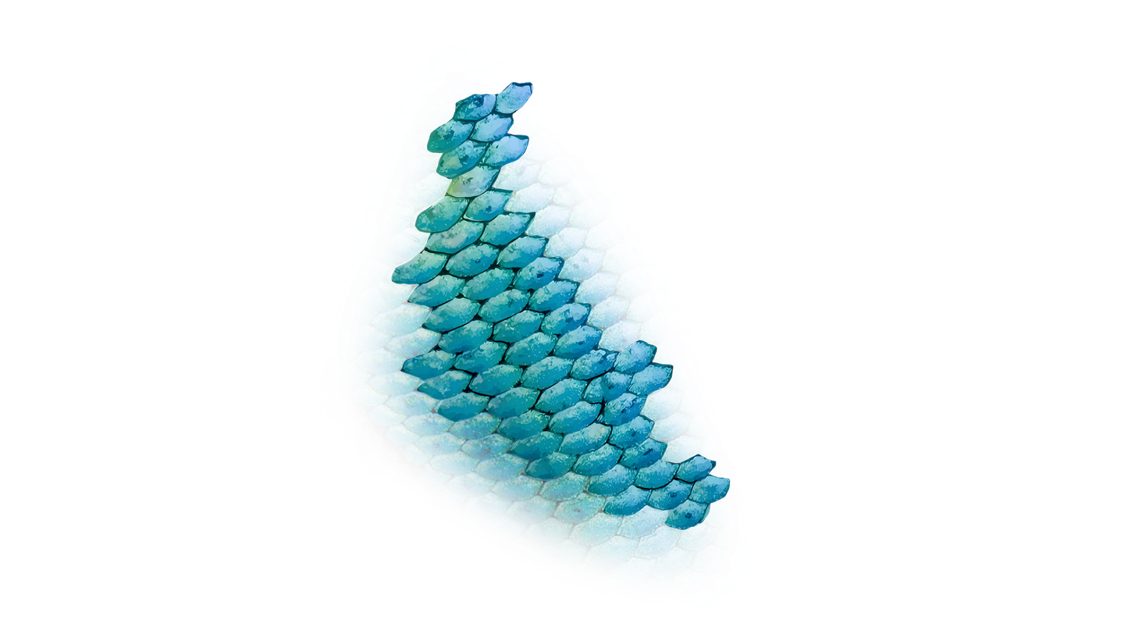 Download TricksWalaa PS••]: Fish scales png.