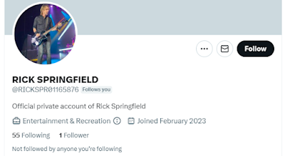 Twitter follower claiming to be Rick Springfield, the guy who sang Jessie’s Girl, but with a twitter account, allegedly private, with a handle full of random numbers.