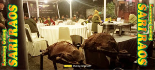 Kambing Guling di Kadungora Garut,kambing guling kadungora,Kambing Guling Kadungora Garut,kambing guling,kambing guling di garut,