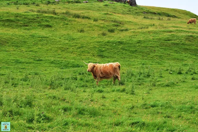 Isla de Mull, Escocia