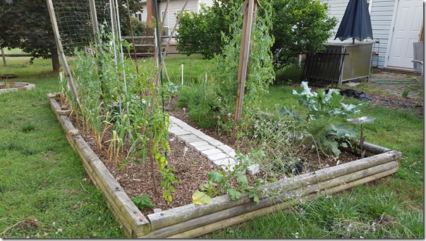 Garden 06 (1)