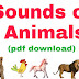 Sounds of Animals