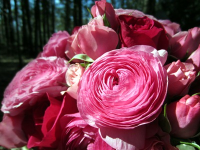 Pink Wedding Bouquet Ideas in Bloom Just a quick peek at Heather Andrew 39s 