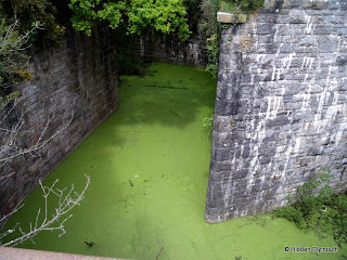 Hidden-Plymouth-Palmerston-Forts