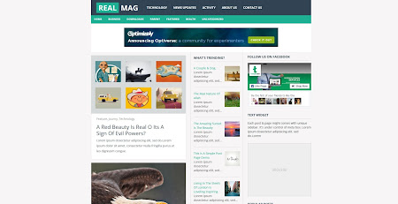 Real Magazine Blogger Template