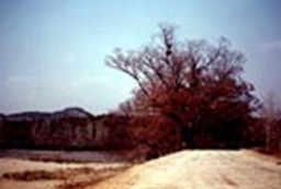 Andong Puyongdae 01