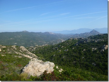 P1030855