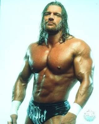 WWE Fighter Triple H