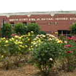 View album