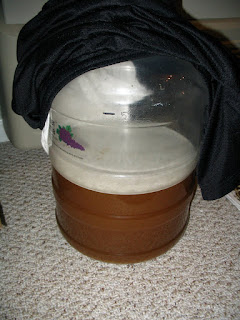 Strong 100% Brett Fermentation