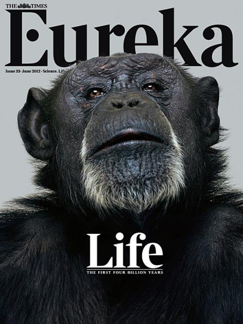 Eureka Ape Cover