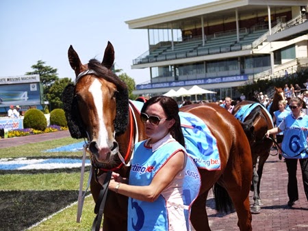 race 5 _bdprelude_fillies_top dolly 1