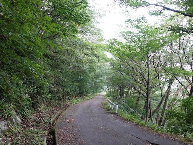 香取草谷展望駐車場に向かう山道