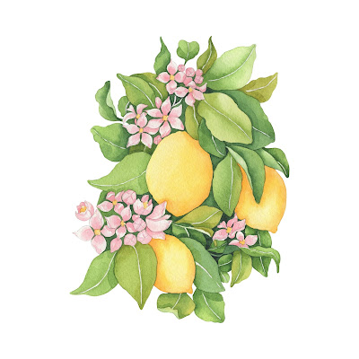 200 + Cartoon Images of Lemon fruit