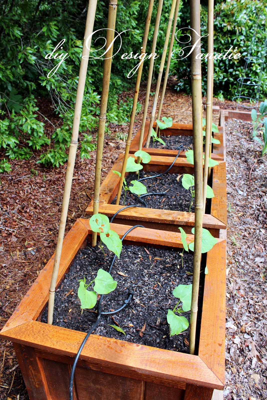 diy planter boxes