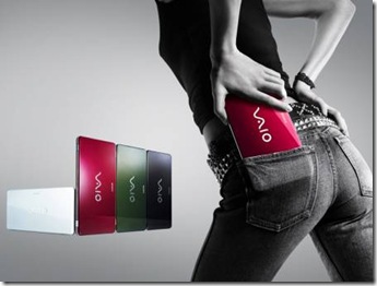 Netbook Sony