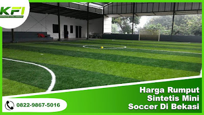 Harga Rumput Sintetis Mini Soccer Di Bekasi