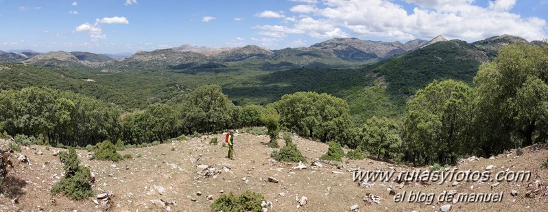 Cerro la Tala desde Conejeras