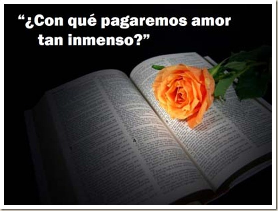 LLORÓ201308