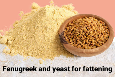 Fenugreek and yeast for fattening الحلبة والخميرة للتسمين من ضمن وصفات عديدة لزيادة الوزن بالخميرة