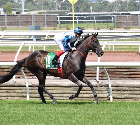 race 5_vanity_amphitrite 4 race 5_vanity_amphitrite 4