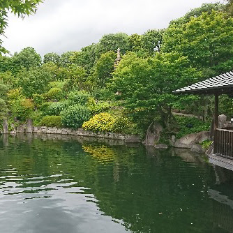 東京都豊島区目白エリアにある区立目白庭園の庭園内