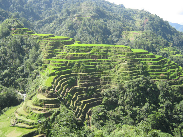 Banaue Rice Terraces