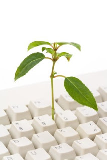 keyboard will tree growing out of it