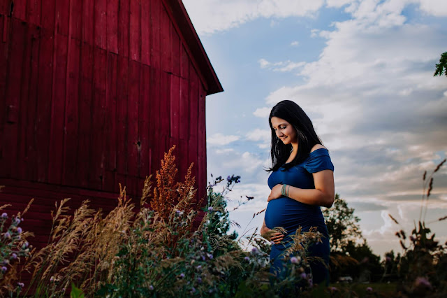 fremont maternity photographer