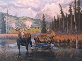 Canadian Moose picture