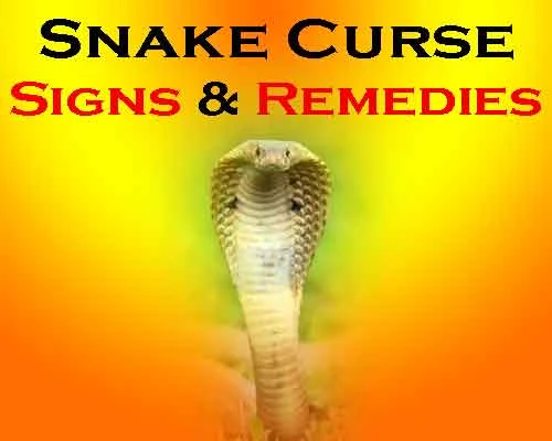 Which is the best day to worship snake deity, सर्प श्राप से बचने के लिए कौन से उपाय हैं, how to remove snake curse, best day to bring fame, prestige