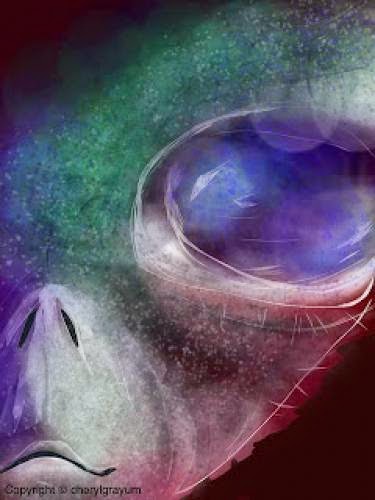 Weird Stuff That Has Happened To Me While Writing About Ufos