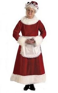 Mrs. Claus Dress Adult Costume