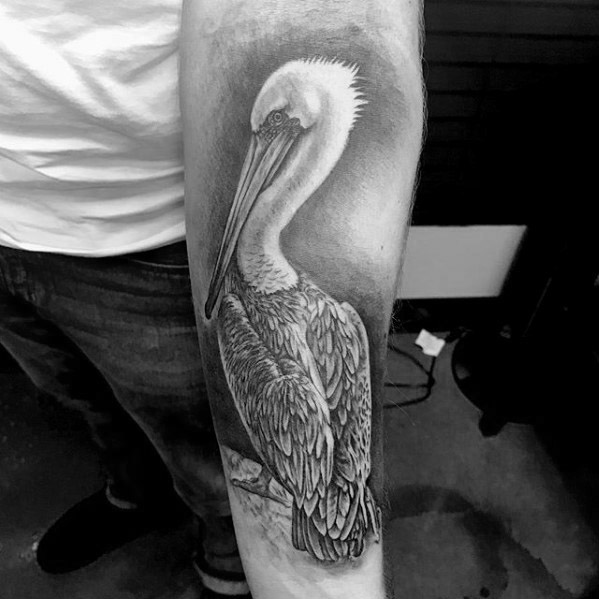 36 tatuagens incríveis de pelicanos para homens!
