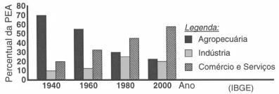 O gráfico representa a distribuição por setores de atividades (em %) da PEA brasileira em diferentes décadas