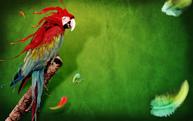 Animals Wallpapers | Birds Wallpapers | HD Desktop