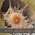 Medical Micrographs: a View into the Human Body