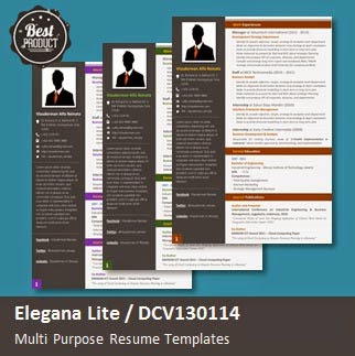 Desain CV Kreatif: Elegana Lite - Contoh Curriculum Vitae